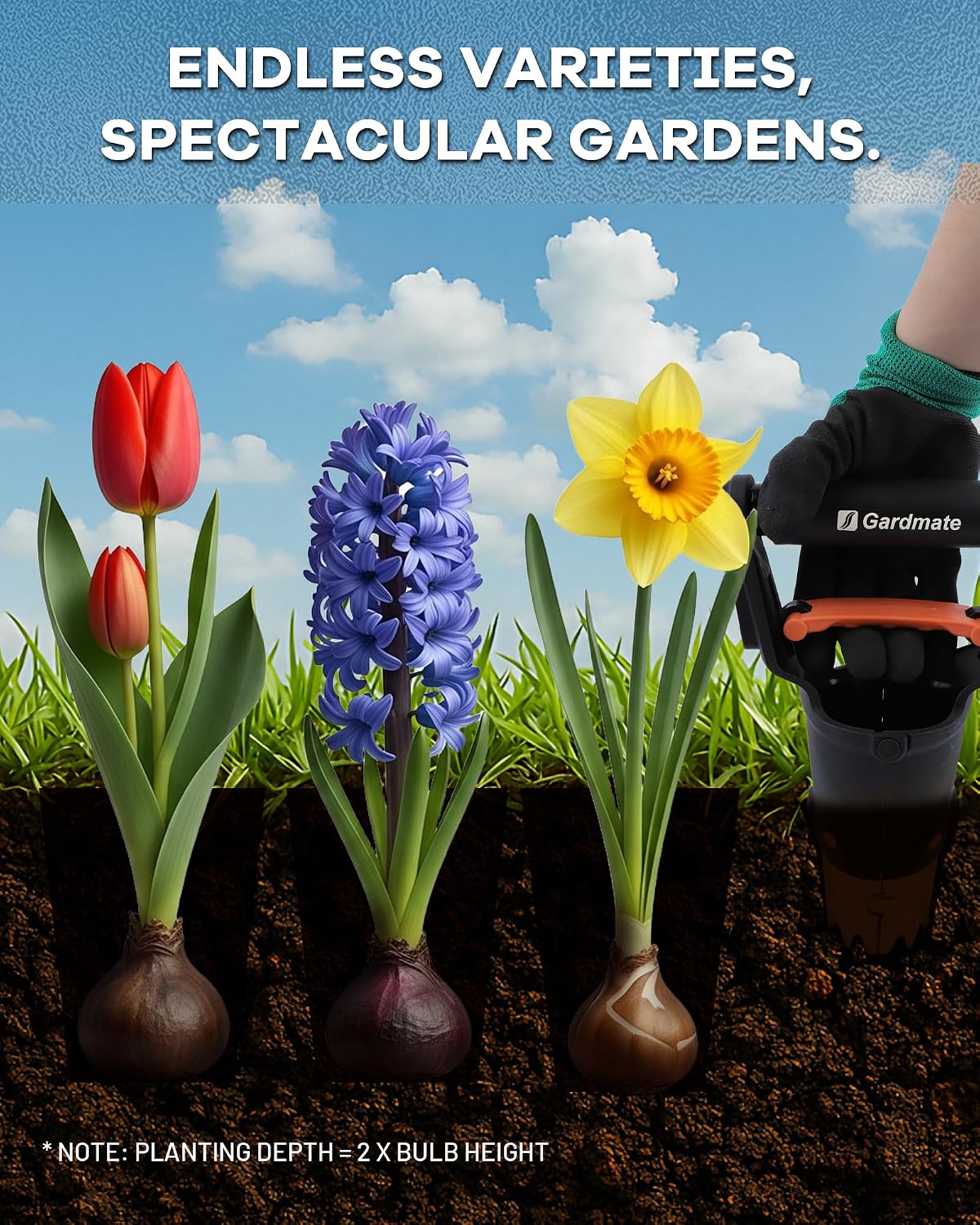 Bulb Planter Tool - One-Touch Automatic Bulb Planter for Bulbs, Seeds & Seedlings - Stainless Steel Garden Bulbs Dibber with Ergonomic Handle - No Bend Planting Tool with Gloves & Brush