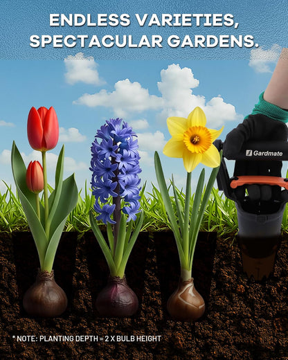 Bulb Planter Tool - One-Touch Automatic Bulb Planter for Bulbs, Seeds & Seedlings - Stainless Steel Garden Bulbs Dibber with Ergonomic Handle - No Bend Planting Tool with Gloves & Brush