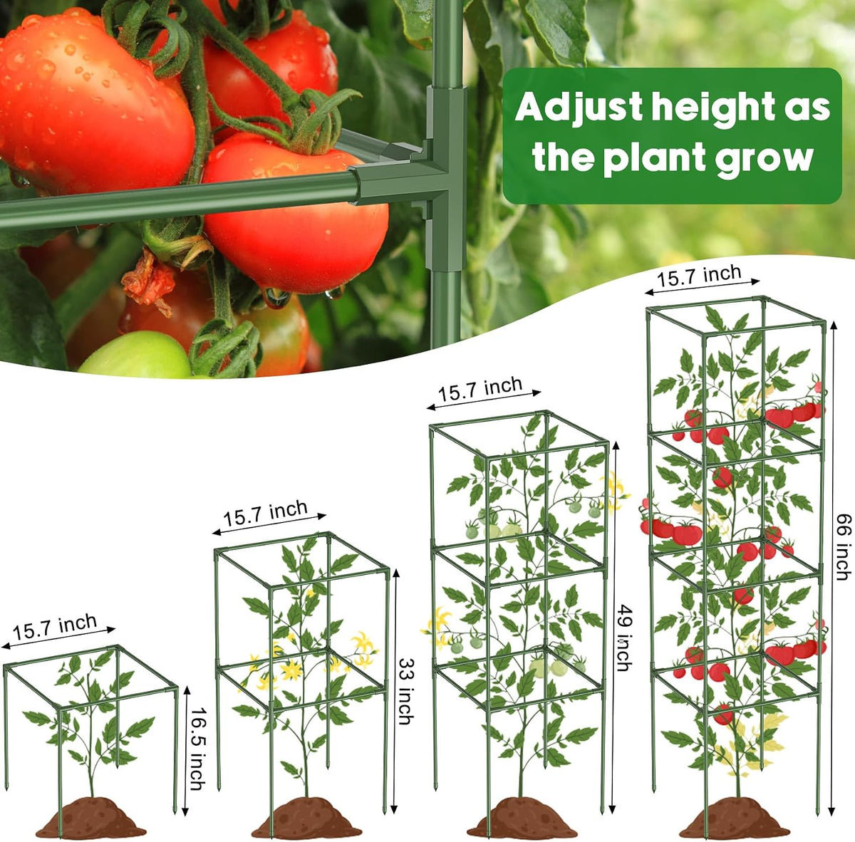 3 Pack Tomato Cage, 16" W x 66" H Tomato Trellis, with 50 Pcs Clips