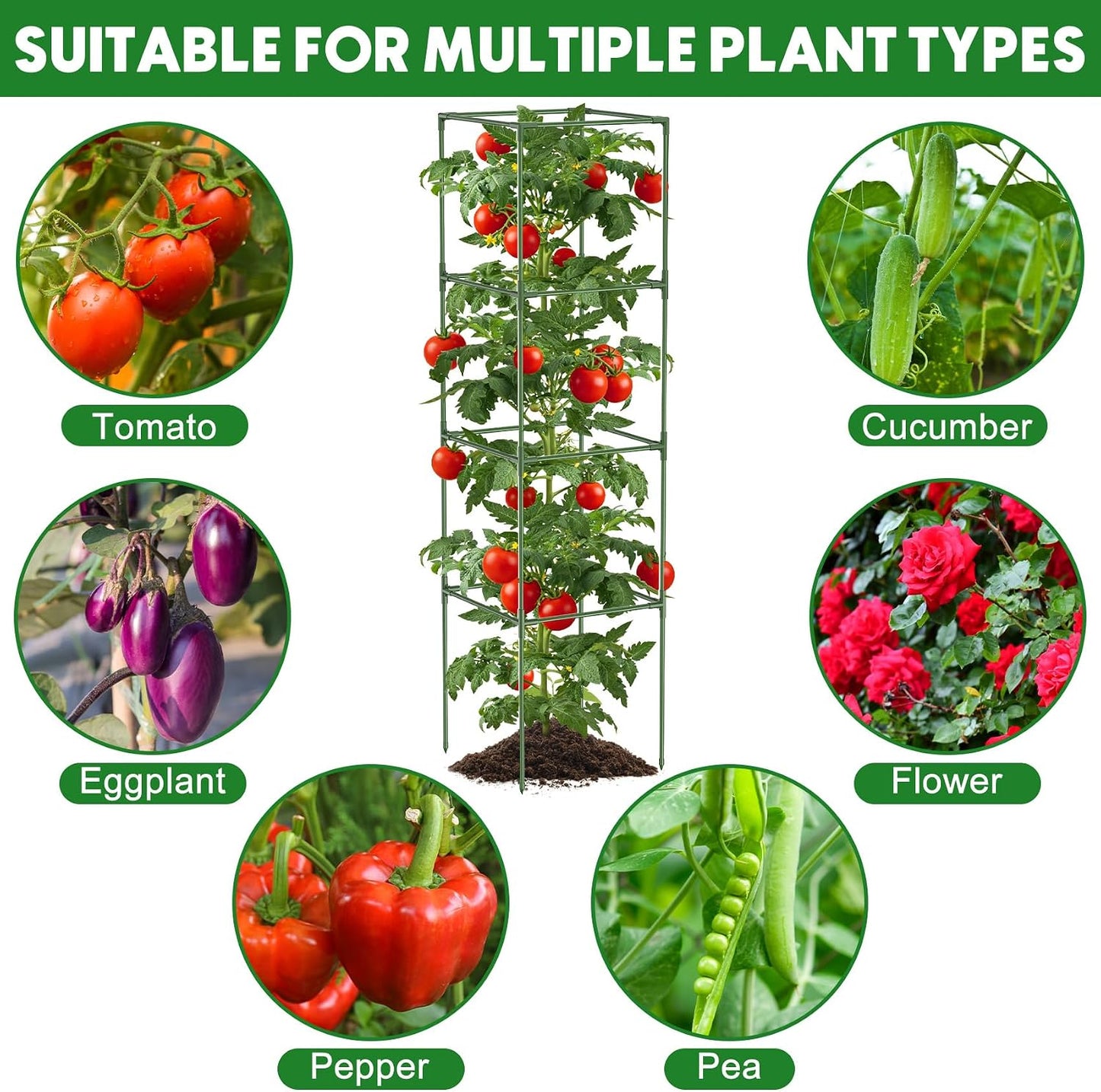3 Pack Tomato Cage, 16" W x 66" H Tomato Trellis, with 50 Pcs Clips