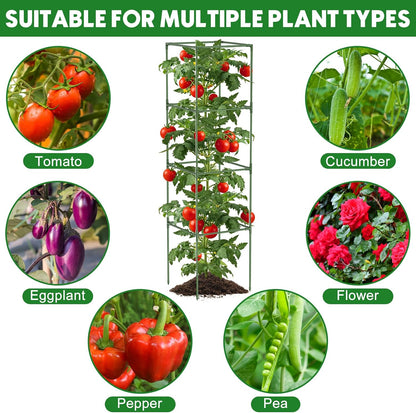 3 Pack Tomato Cage, 16" W x 66" H Tomato Trellis, with 50 Pcs Clips