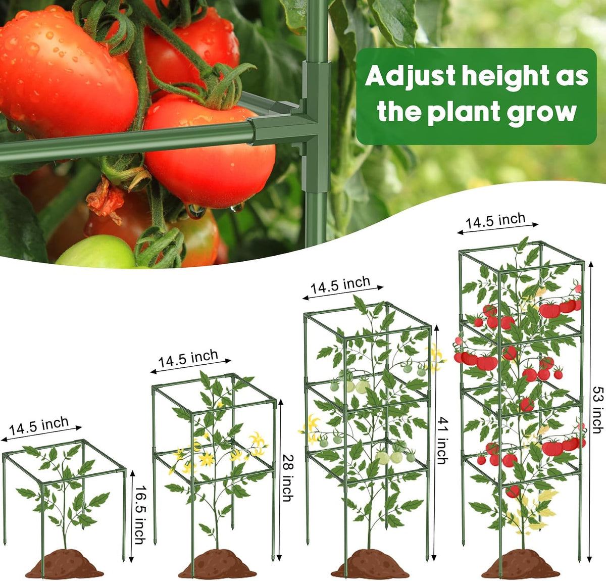 3 Pack Tomato Cage, 16" W x 66" H Tomato Trellis, with 50 Pcs Clips