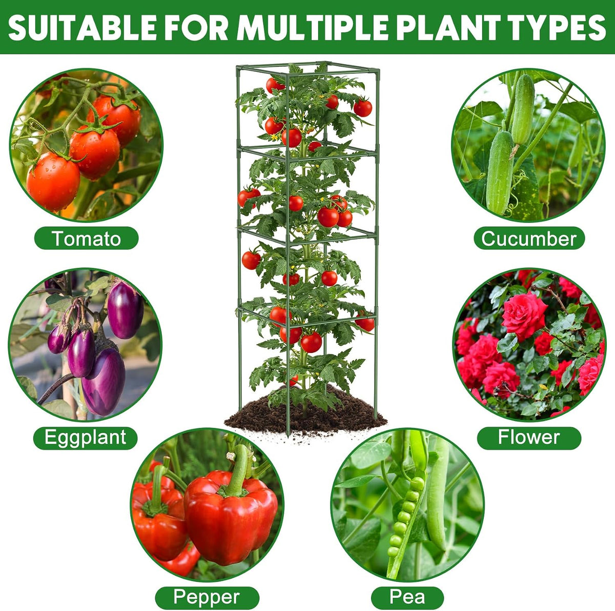 3 Pack Tomato Cage, 16" W x 66" H Tomato Trellis, with 50 Pcs Clips