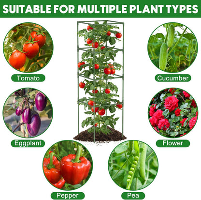 3 Pack Tomato Cage, 16" W x 66" H Tomato Trellis, with 50 Pcs Clips