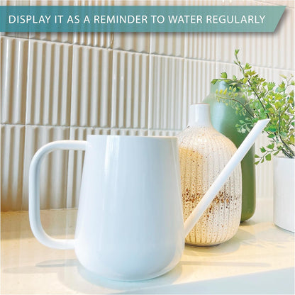 Metal Indoor Plant Watering Can with Long Spout 1000ml - White