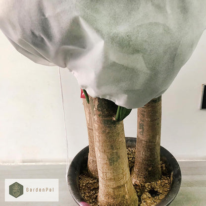 2 Pack Plant Covers Freeze Protection, Thickened Frost Cloth with Drawstring for Outdoor Plants, Reusable, Saving Your Plants (40''×47'')