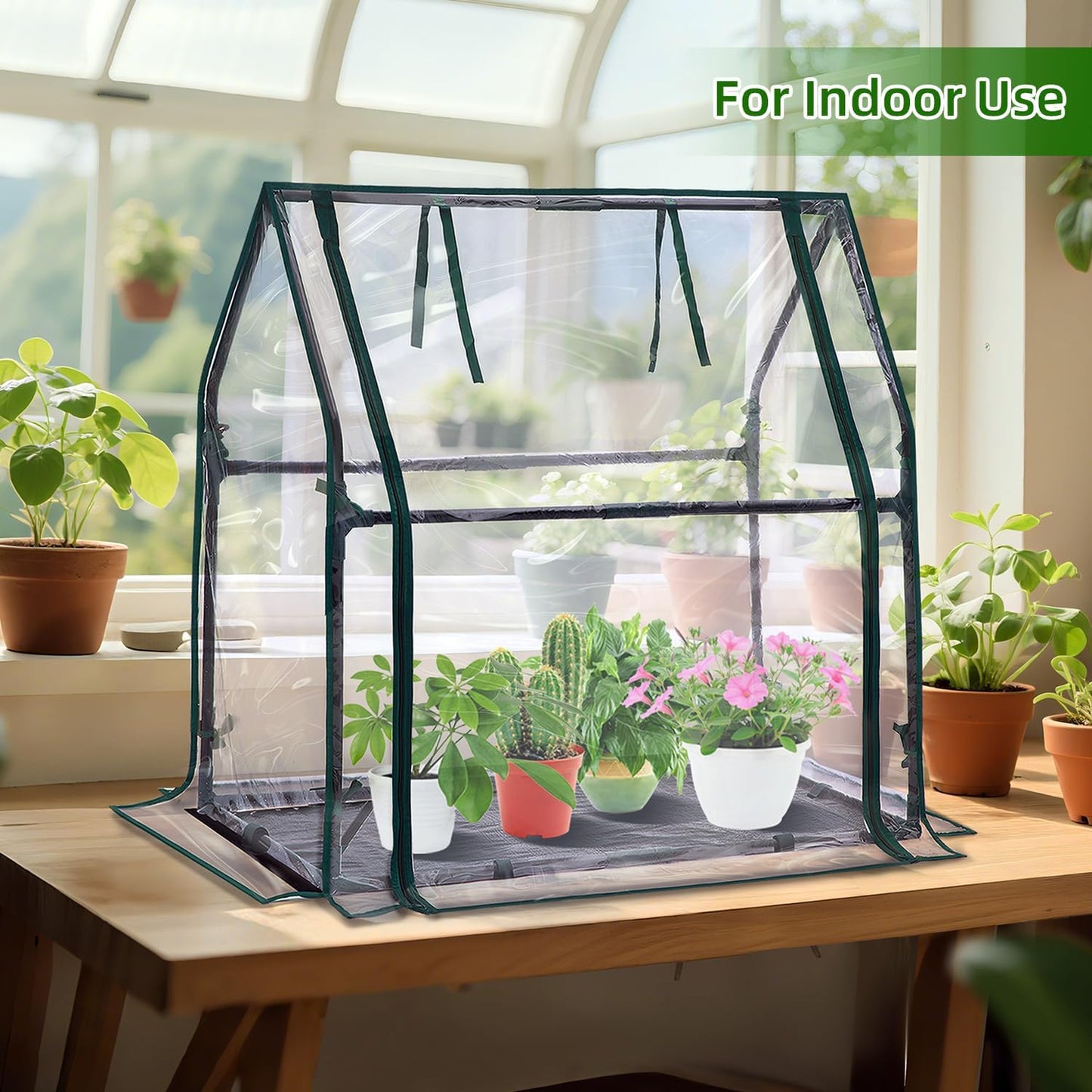 Mini Greenhouse for Indoor Outdoor: Portable Green House with Waterproof Pad for Small Plants Nursery Germination, 36"x36"x42" Light Duty Cover Tent Humidity Dome Seedling Accessory