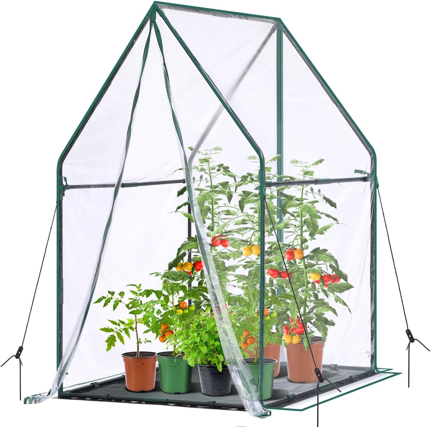 Mini Greenhouse for Indoor Outdoor: Portable Green House with Waterproof Pad for Small Plants Nursery Germination, 36"x36"x42" Light Duty Cover Tent Humidity Dome Seedling Accessory