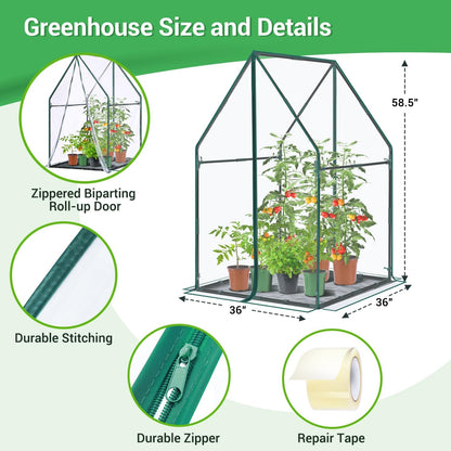 Mini Greenhouse for Indoor Outdoor: Portable Green House with Waterproof Pad for Small Plants Nursery Germination, 36"x36"x42" Light Duty Cover Tent Humidity Dome Seedling Accessory