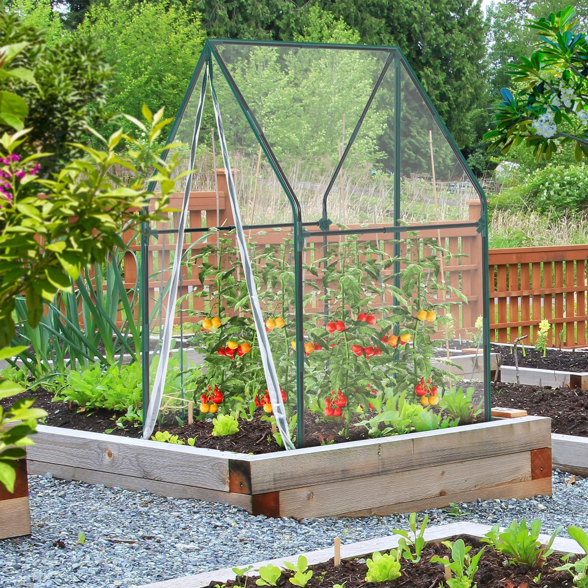 Mini Greenhouse for Indoor Outdoor: Portable Green House with Waterproof Pad for Small Plants Nursery Germination, 36"x36"x42" Light Duty Cover Tent Humidity Dome Seedling Accessory