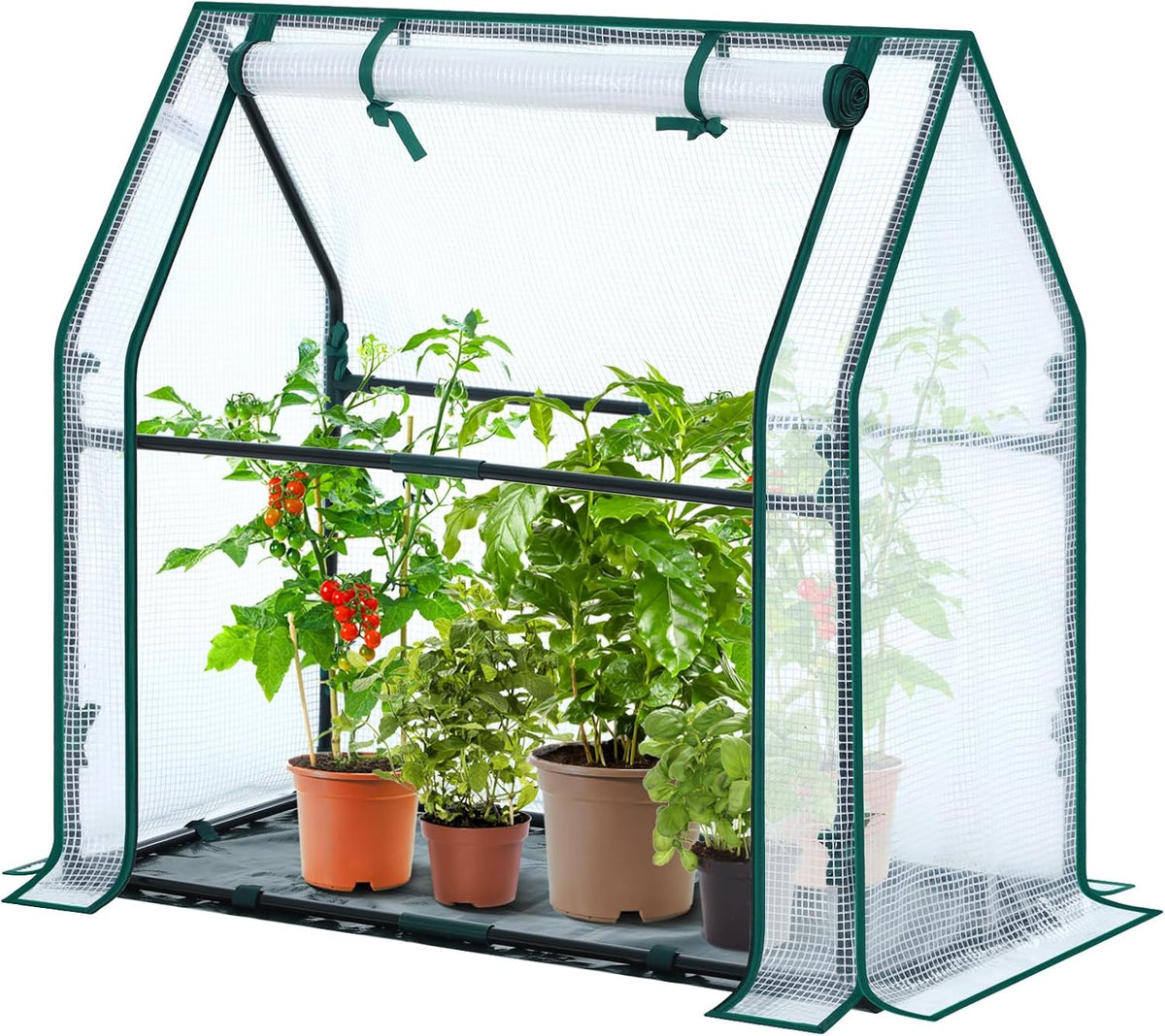 Mini Greenhouse for Indoor Outdoor: Portable Green House with Waterproof Pad for Small Plants Nursery Germination, 36"x36"x42" Light Duty Cover Tent Humidity Dome Seedling Accessory