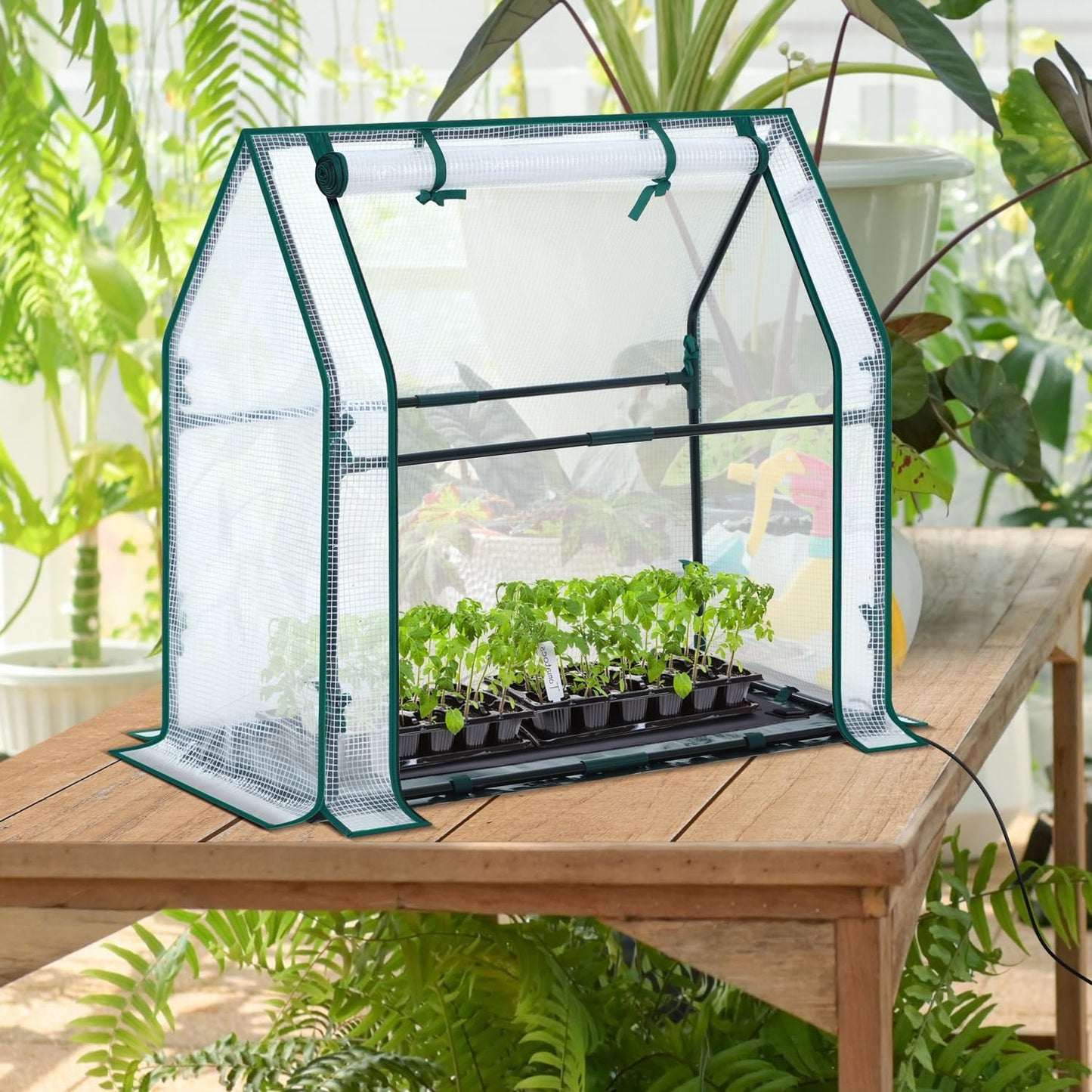Mini Greenhouse for Indoor Outdoor: Portable Green House with Waterproof Pad for Small Plants Nursery Germination, 36"x36"x42" Light Duty Cover Tent Humidity Dome Seedling Accessory