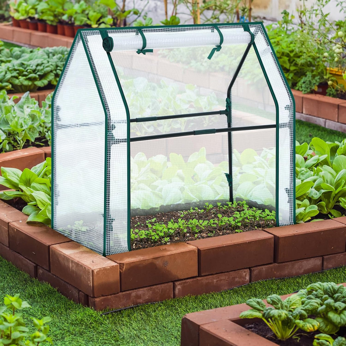 Mini Greenhouse for Indoor Outdoor: Portable Green House with Waterproof Pad for Small Plants Nursery Germination, 36"x36"x42" Light Duty Cover Tent Humidity Dome Seedling Accessory
