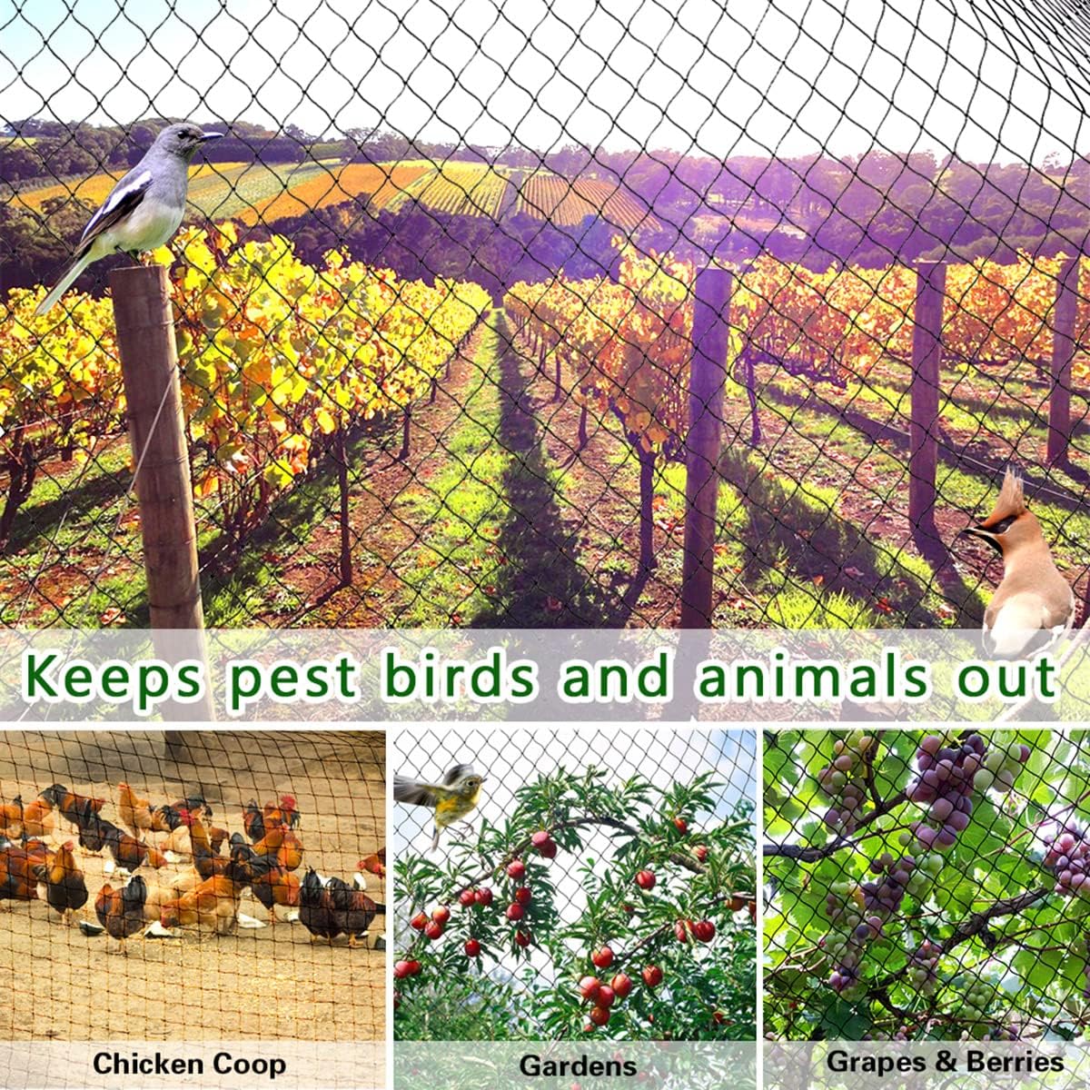 25' x 25' Bird Netting Heavy Duty Nylon 3/4" Mesh Garden Netting Protect Fruit Trees, Plants and Vegetables