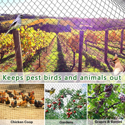 25' x 25' Bird Netting Heavy Duty Nylon 3/4" Mesh Garden Netting Protect Fruit Trees, Plants and Vegetables