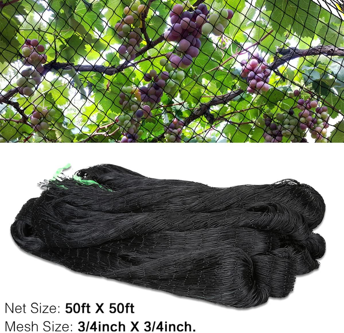 25' x 25' Bird Netting Heavy Duty Nylon 3/4" Mesh Garden Netting Protect Fruit Trees, Plants and Vegetables