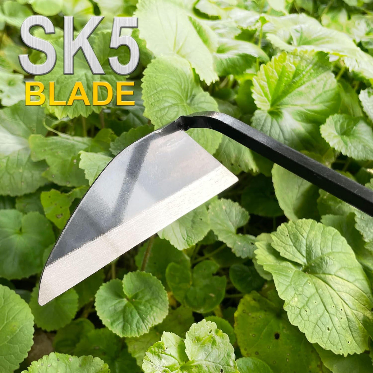 Japanese Weeding Sickle, Wide Blade Gardening Tools - Premium Quality Hand Hoes/Weeding Sickle Have Very Sharp Edge for Quick Work (Long Handle)