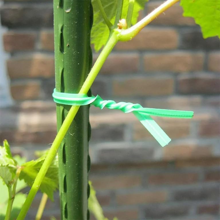 Twist Ties for Plants - 100 Pack 8” Garden Twist Ties for Climbing Plants, Outdoor, Indoor, Flowers, Vines - Reusable Green Plant Wire
