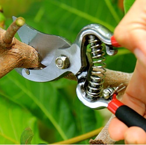 Classic Bypass Pruning Shears Clippers – Heavy Duty Forged Steel Garden Pruners – Safety Lock – Non Slip Comfort Grips – Cuts up to 1” Diameter – Professional Bypass Pruners for Gardening