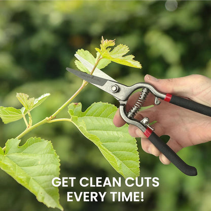 Classic Bypass Pruning Shears Clippers – Heavy Duty Forged Steel Garden Pruners – Safety Lock – Non Slip Comfort Grips – Cuts up to 1” Diameter – Professional Bypass Pruners for Gardening