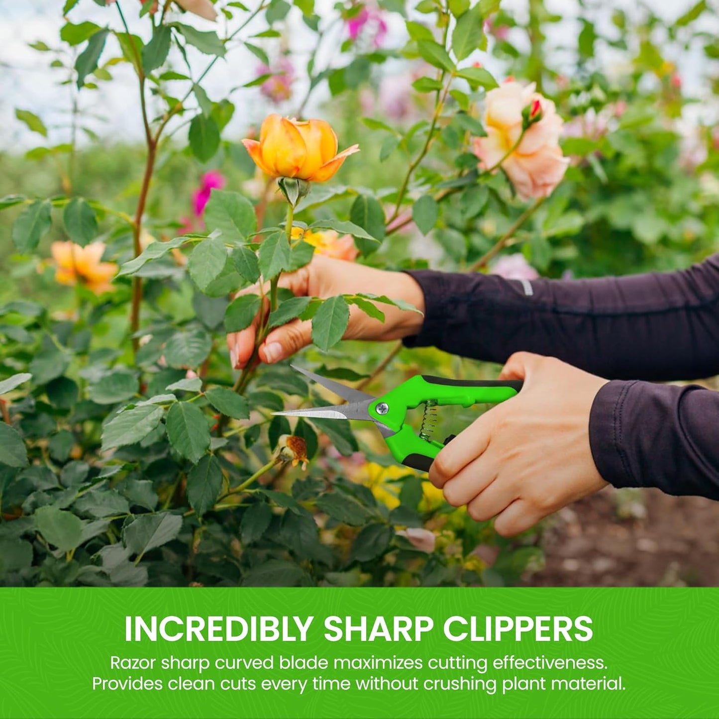 Classic Bypass Pruning Shears Clippers – Heavy Duty Forged Steel Garden Pruners – Safety Lock – Non Slip Comfort Grips – Cuts up to 1” Diameter – Professional Bypass Pruners for Gardening