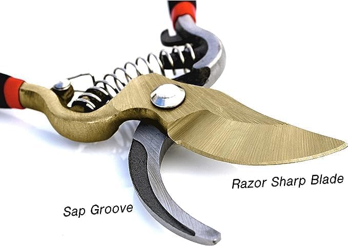 Classic Bypass Pruning Shears Clippers – Heavy Duty Forged Steel Garden Pruners – Safety Lock – Non Slip Comfort Grips – Cuts up to 1” Diameter – Professional Bypass Pruners for Gardening