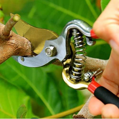Classic Bypass Pruning Shears Clippers – Heavy Duty Forged Steel Garden Pruners – Safety Lock – Non Slip Comfort Grips – Cuts up to 1” Diameter – Professional Bypass Pruners for Gardening