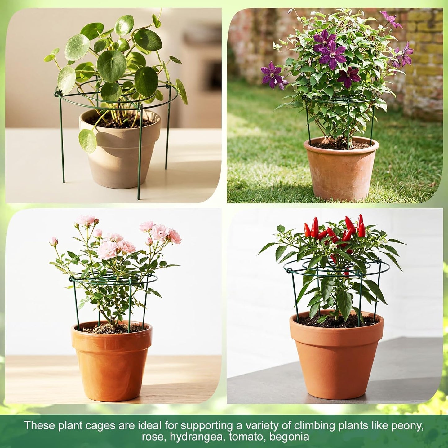 6 Pcs Adjustable Peony Cages and Supports, 24 x 12 Inch / 9 x 12 Inch Metal Peony Support Cage, Large Plant Frame Rings for Garden Outdoor Plants Flowers Tomato Vegetables, Height Adjustable