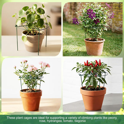 6 Pcs Adjustable Peony Cages and Supports, 24 x 12 Inch / 9 x 12 Inch Metal Peony Support Cage, Large Plant Frame Rings for Garden Outdoor Plants Flowers Tomato Vegetables, Height Adjustable