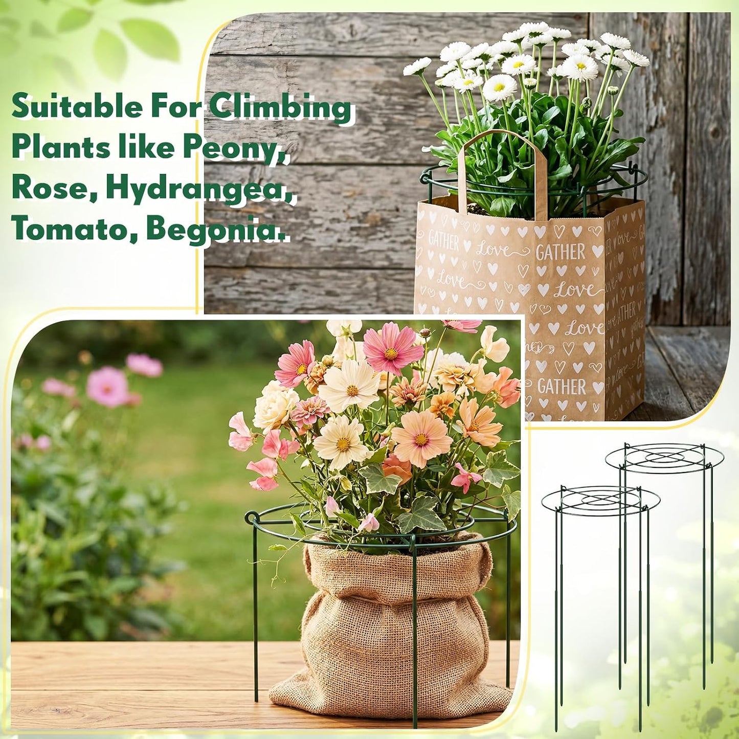 6 Pcs Adjustable Peony Cages and Supports, 24 x 12 Inch / 9 x 12 Inch Metal Peony Support Cage, Large Plant Frame Rings for Garden Outdoor Plants Flowers Tomato Vegetables, Height Adjustable