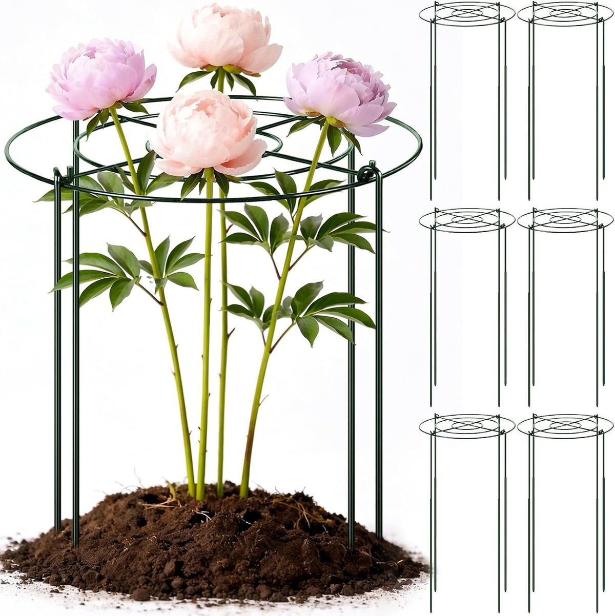 6 Pcs Adjustable Peony Cages and Supports, 24 x 12 Inch / 9 x 12 Inch Metal Peony Support Cage, Large Plant Frame Rings for Garden Outdoor Plants Flowers Tomato Vegetables, Height Adjustable