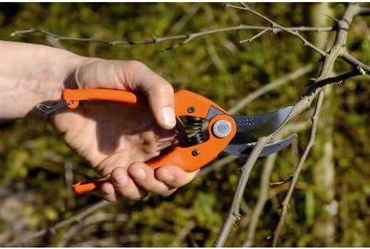 P126-19-F Rose Pruner, 7-1/2-Inch