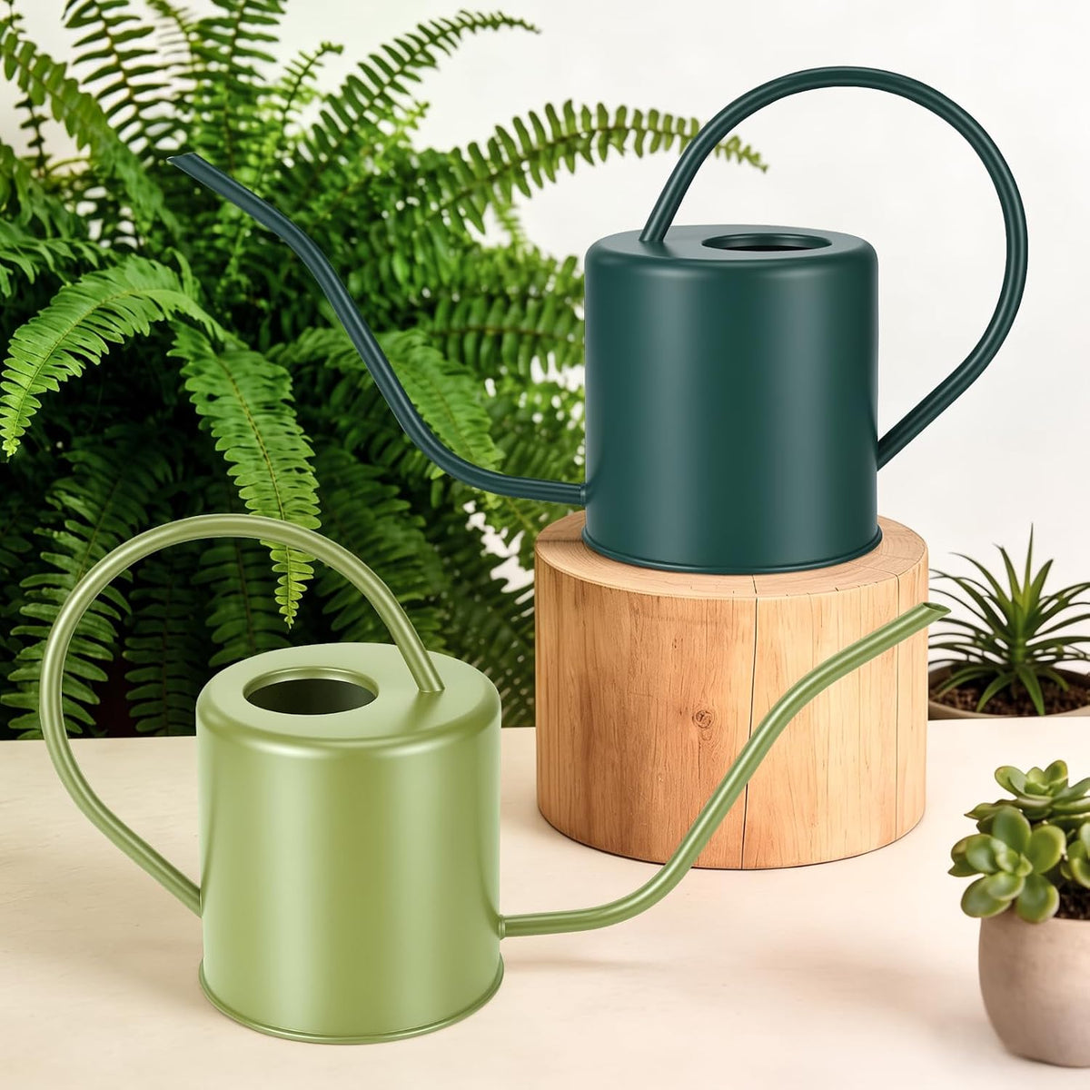 Plant Watering Can, 50 oz / 1500 ml Stainless Steel Metal - Modern Decorative with Long Spout for Indoor Potted Plants, Bonsai, Garden Flowers, Black