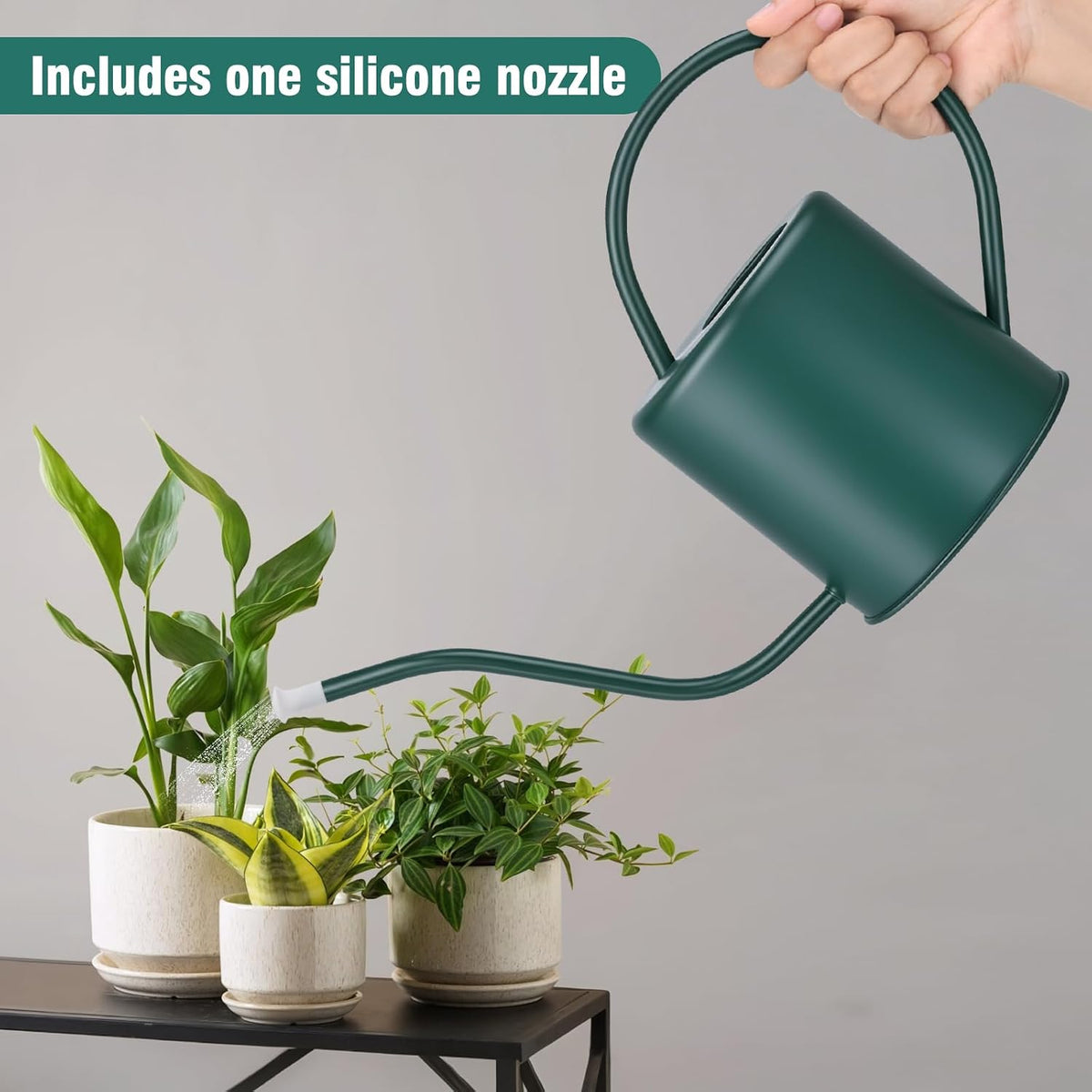 Plant Watering Can, 50 oz / 1500 ml Stainless Steel Metal - Modern Decorative with Long Spout for Indoor Potted Plants, Bonsai, Garden Flowers, Black