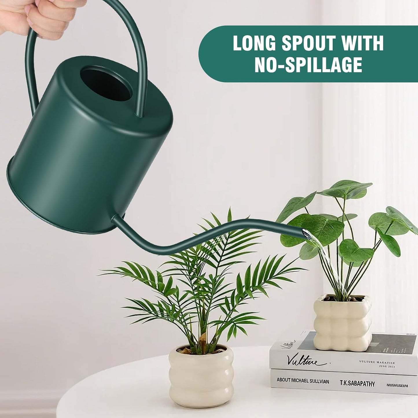 Plant Watering Can, 50 oz / 1500 ml Stainless Steel Metal - Modern Decorative with Long Spout for Indoor Potted Plants, Bonsai, Garden Flowers, Black
