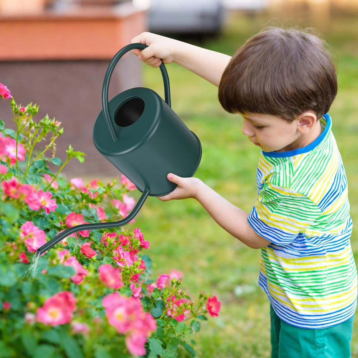 Plant Watering Can, 50 oz / 1500 ml Stainless Steel Metal - Modern Decorative with Long Spout for Indoor Potted Plants, Bonsai, Garden Flowers, Black
