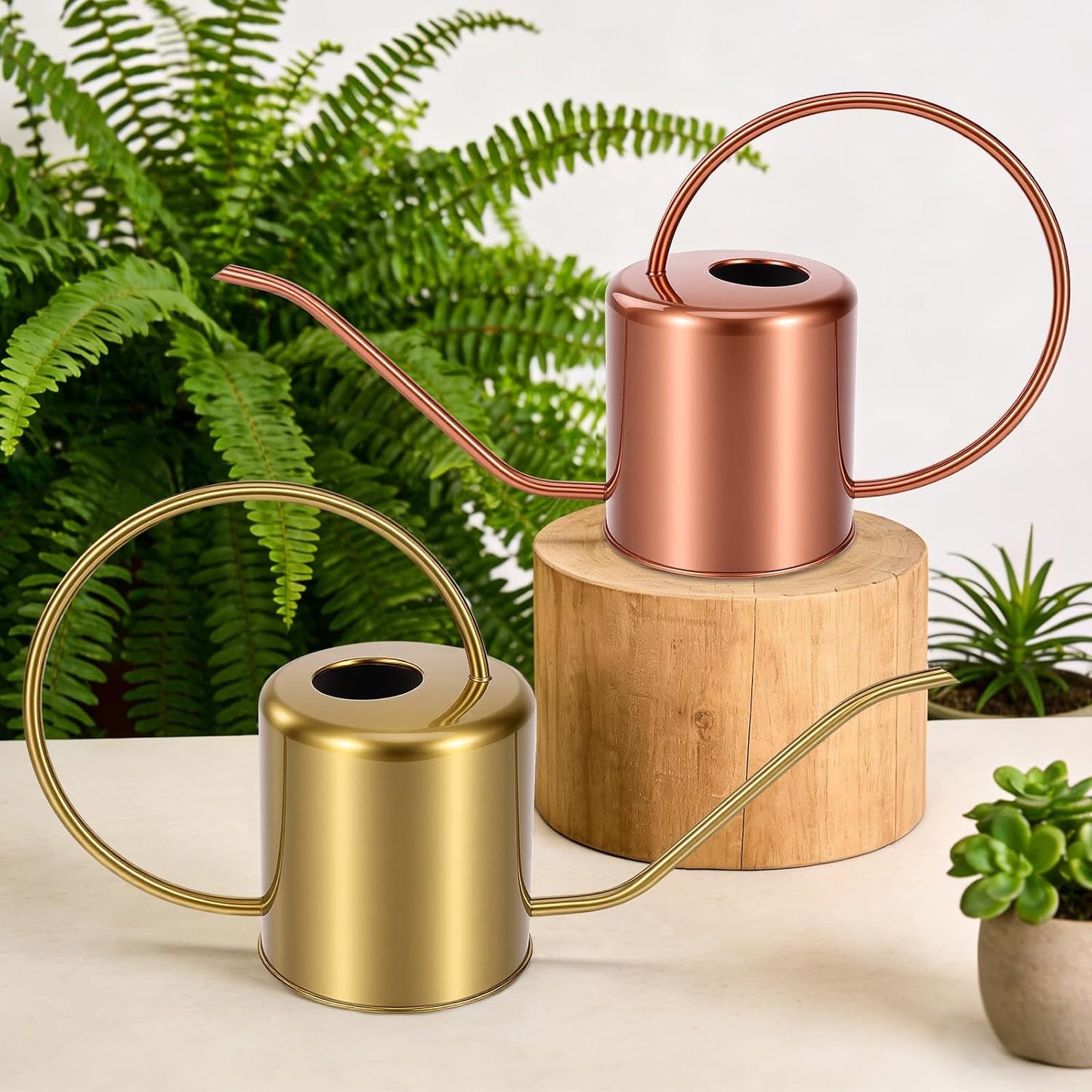 Plant Watering Can, 50 oz / 1500 ml Stainless Steel Metal - Modern Decorative with Long Spout for Indoor Potted Plants, Bonsai, Garden Flowers, Black