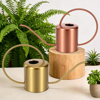 Plant Watering Can, 50 oz / 1500 ml Stainless Steel Metal - Modern Decorative with Long Spout for Indoor Potted Plants, Bonsai, Garden Flowers, Black
