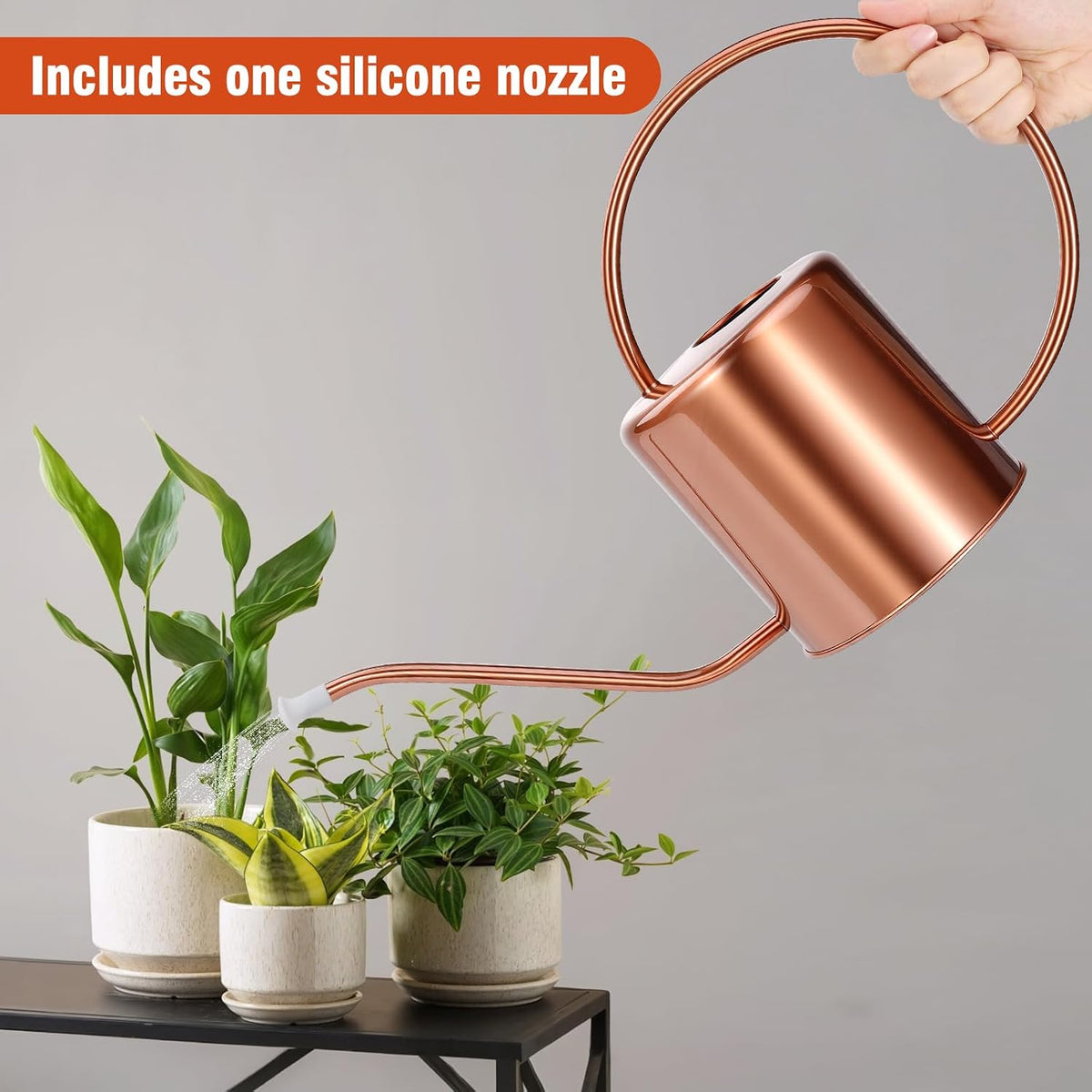 Plant Watering Can, 50 oz / 1500 ml Stainless Steel Metal - Modern Decorative with Long Spout for Indoor Potted Plants, Bonsai, Garden Flowers, Black