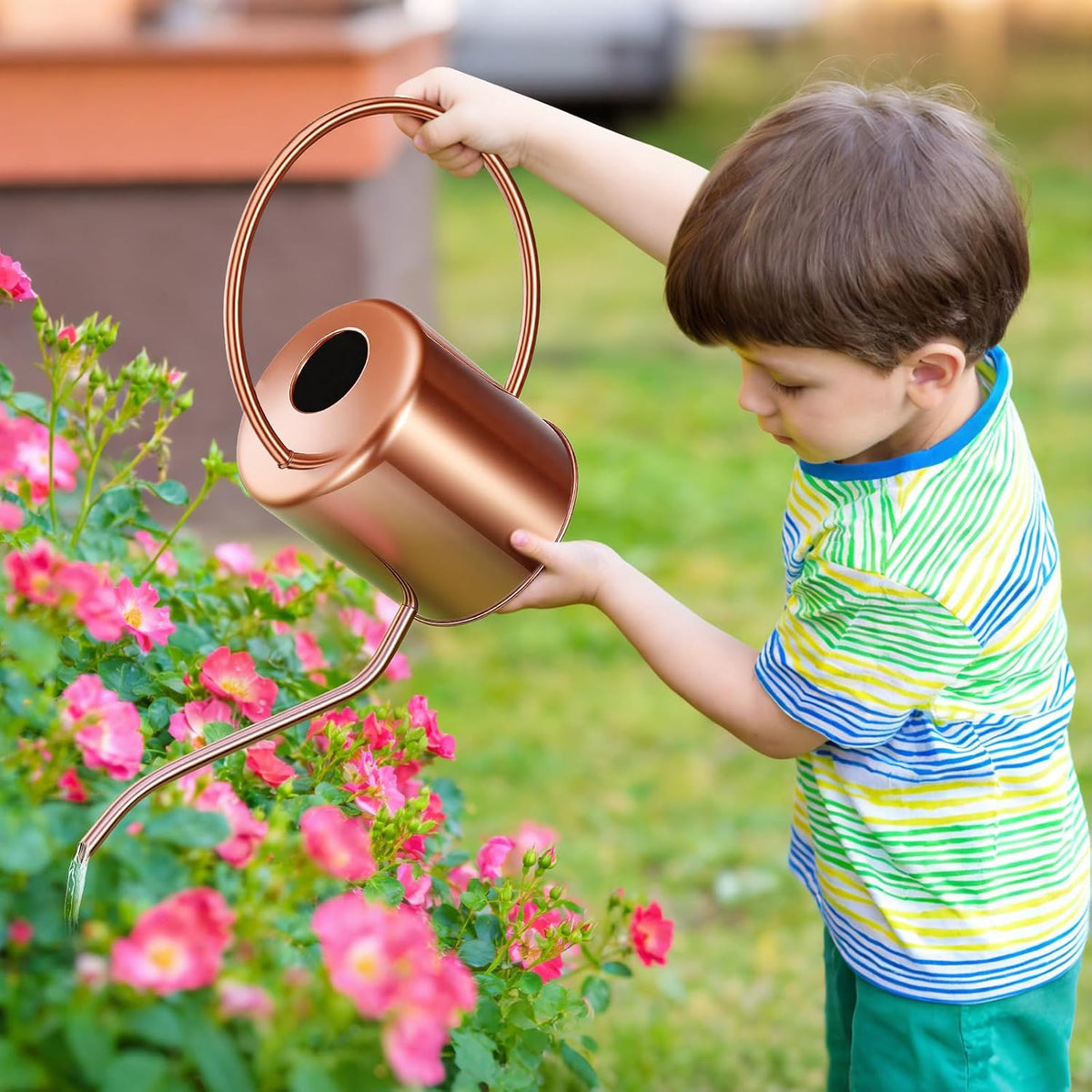 Plant Watering Can, 50 oz / 1500 ml Stainless Steel Metal - Modern Decorative with Long Spout for Indoor Potted Plants, Bonsai, Garden Flowers, Black