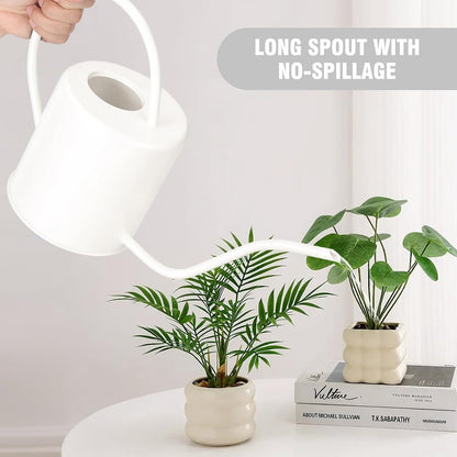Plant Watering Can, 50 oz / 1500 ml Stainless Steel Metal - Modern Decorative with Long Spout for Indoor Potted Plants, Bonsai, Garden Flowers, Black