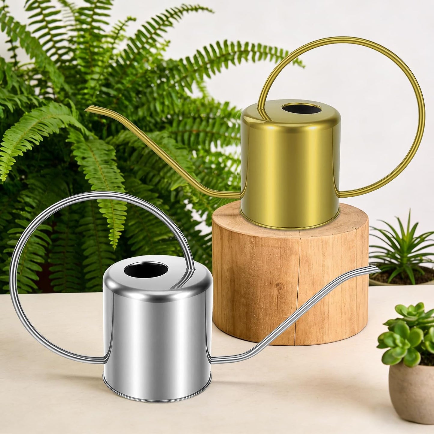 Plant Watering Can, 50 oz / 1500 ml Stainless Steel Metal - Modern Decorative with Long Spout for Indoor Potted Plants, Bonsai, Garden Flowers, Black
