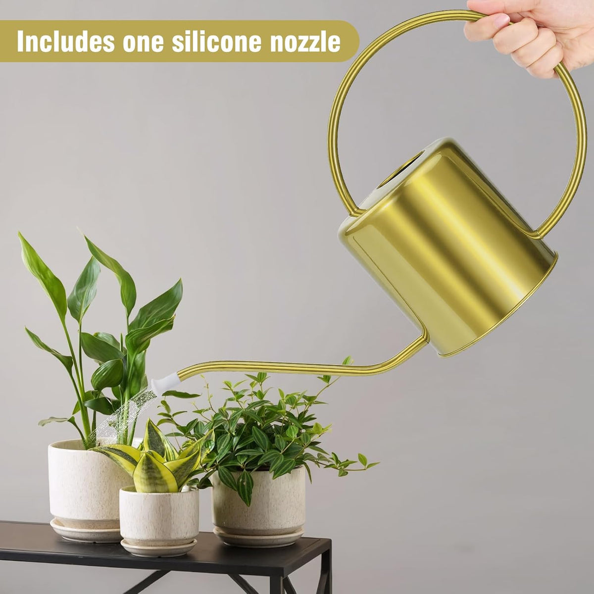 Plant Watering Can, 50 oz / 1500 ml Stainless Steel Metal - Modern Decorative with Long Spout for Indoor Potted Plants, Bonsai, Garden Flowers, Black