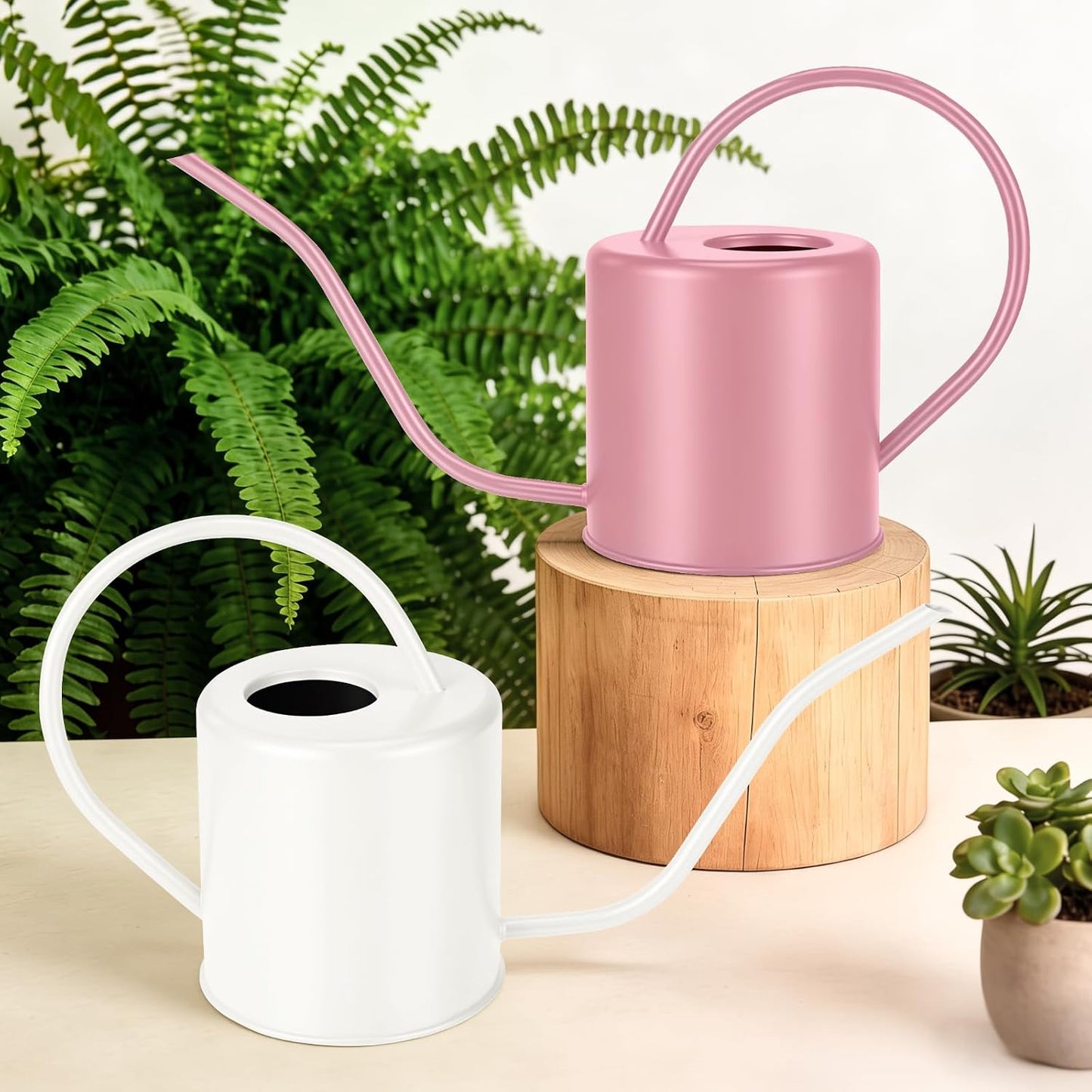 Plant Watering Can, 50 oz / 1500 ml Stainless Steel Metal - Modern Decorative with Long Spout for Indoor Potted Plants, Bonsai, Garden Flowers, Black