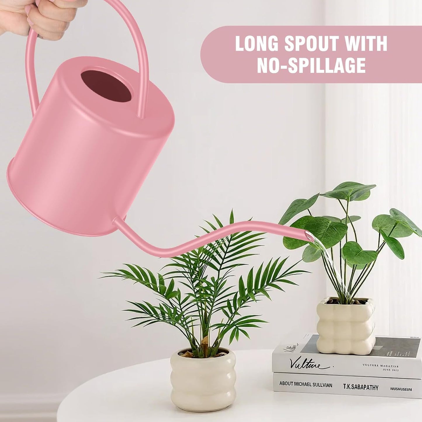 Plant Watering Can, 50 oz / 1500 ml Stainless Steel Metal - Modern Decorative with Long Spout for Indoor Potted Plants, Bonsai, Garden Flowers, Black