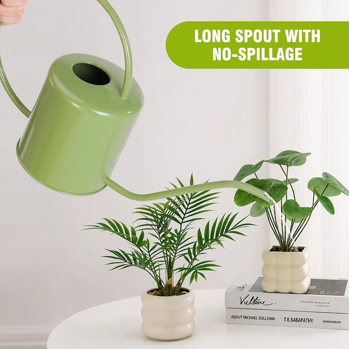 Plant Watering Can, 50 oz / 1500 ml Stainless Steel Metal - Modern Decorative with Long Spout for Indoor Potted Plants, Bonsai, Garden Flowers, Black