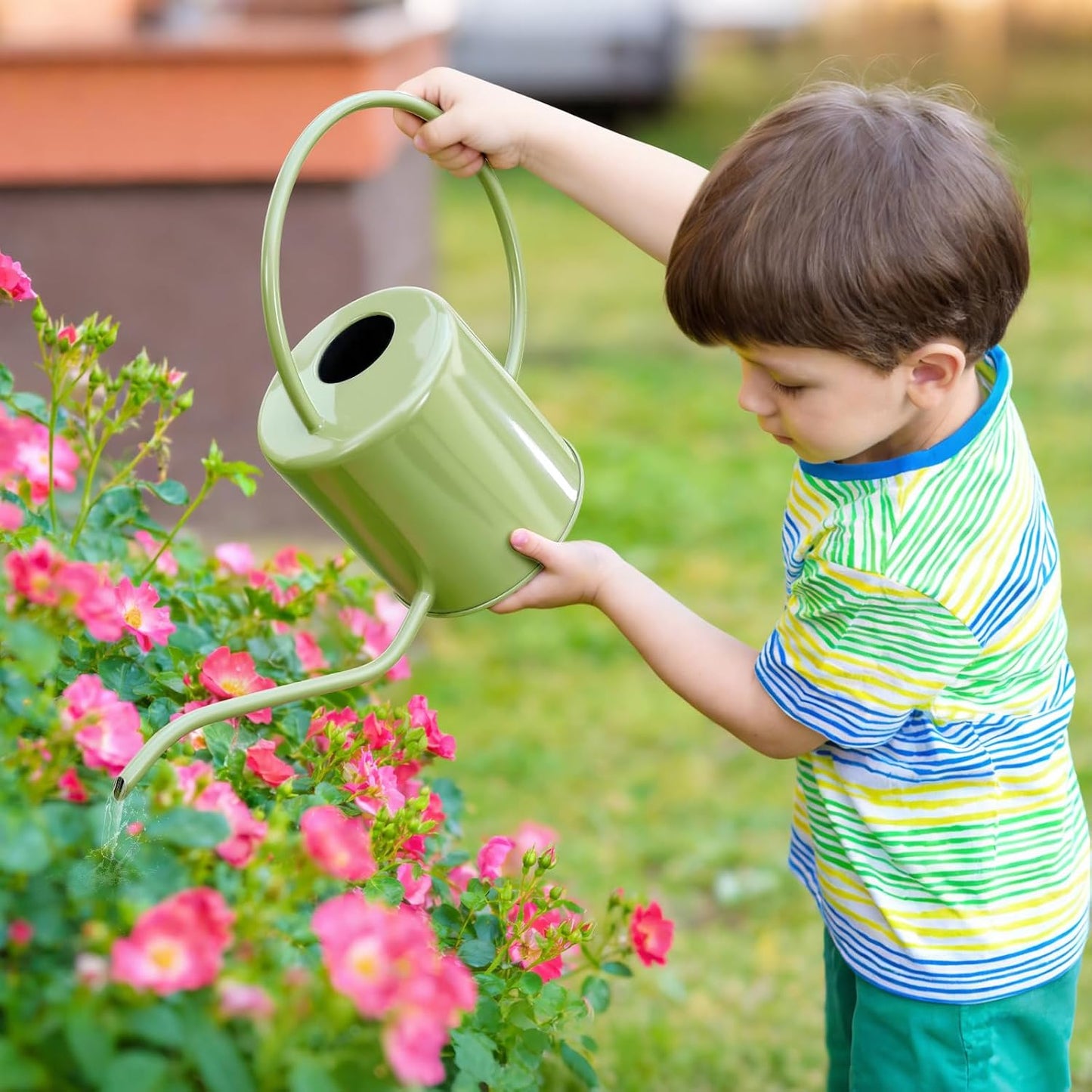 Plant Watering Can, 50 oz / 1500 ml Stainless Steel Metal - Modern Decorative with Long Spout for Indoor Potted Plants, Bonsai, Garden Flowers, Black