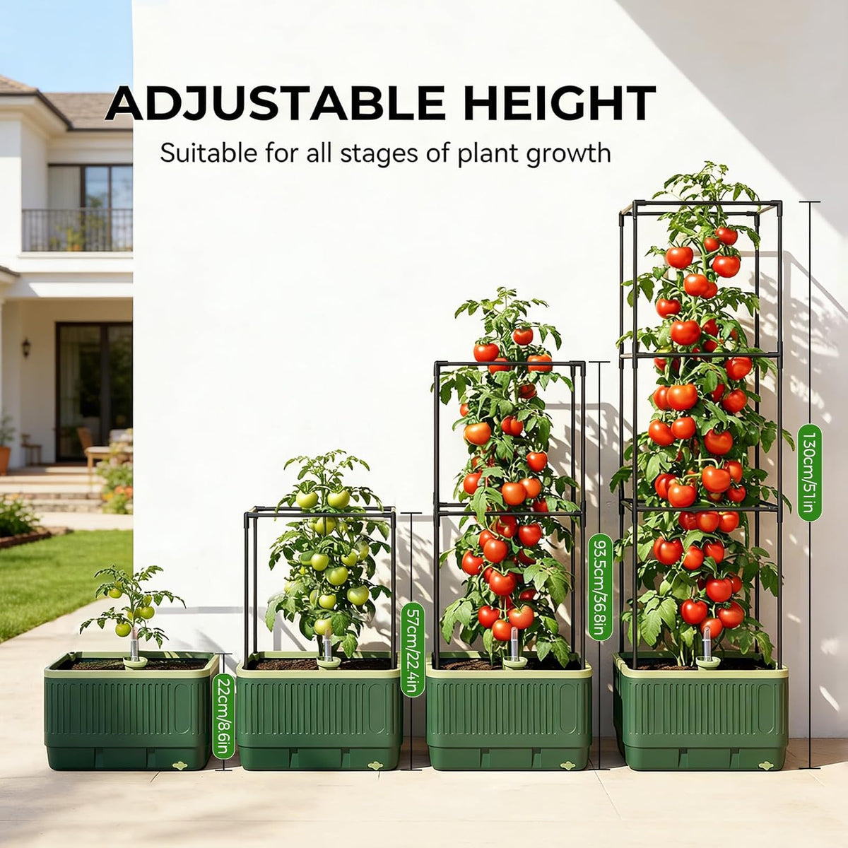 Raised Garden Bed Tomato Planter with Trellis, 52" Self Watering Tomato Planter with Water Level Indicator, Larger Rectangular Tomato Cages for Indoor & Outdoor Climbing Vegetable and Plants (1)
