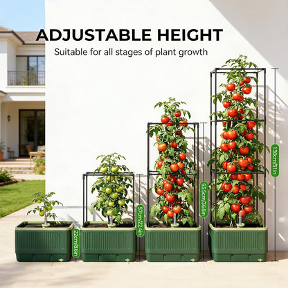 Raised Garden Bed Tomato Planter with Trellis, 52" Self Watering Tomato Planter with Water Level Indicator, Larger Rectangular Tomato Cages for Indoor & Outdoor Climbing Vegetable and Plants (1)