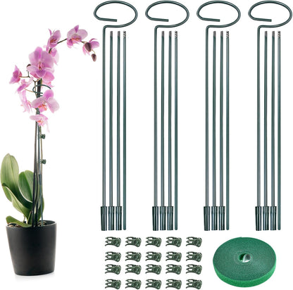 4 Set Metal Plant Sticks Support Tall 48 Inch Adjustable Plants Stem Support Rod Amaryllis Holder Stake Garden Flower Rings with 20PCS Clips 16.5' Plant Ties for Outdoor Indoor Plants